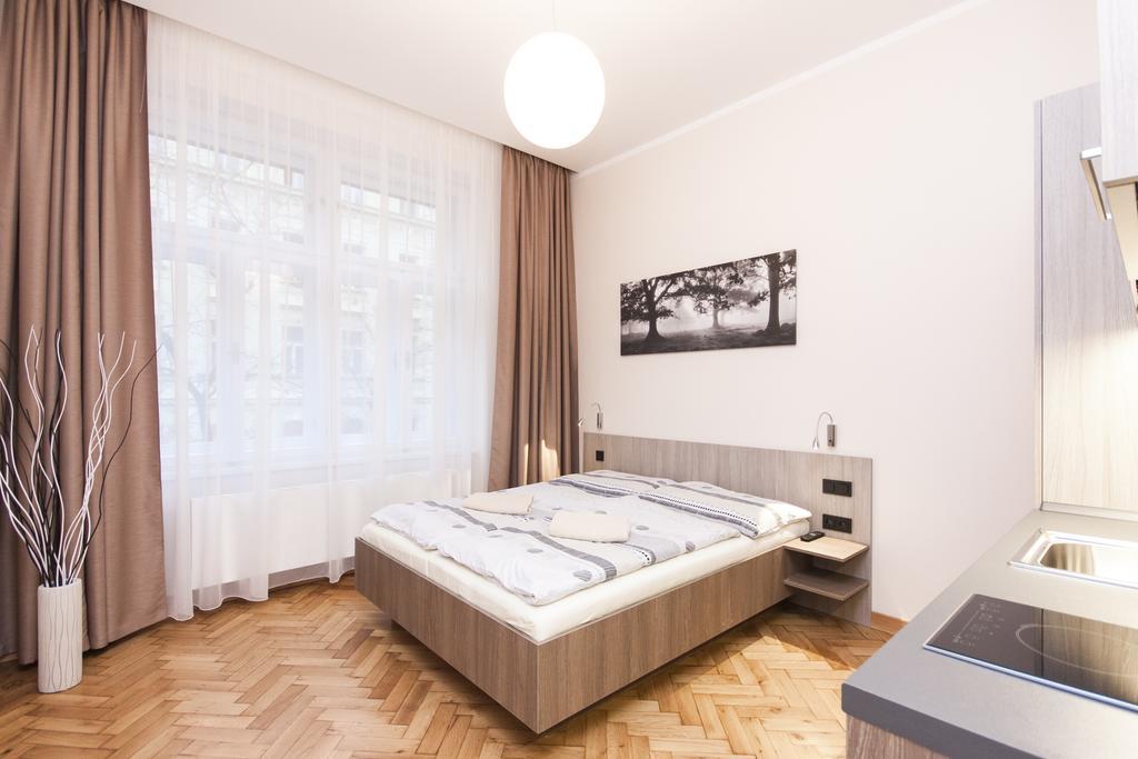 Manesova Astra Apartment Praga Cameră foto